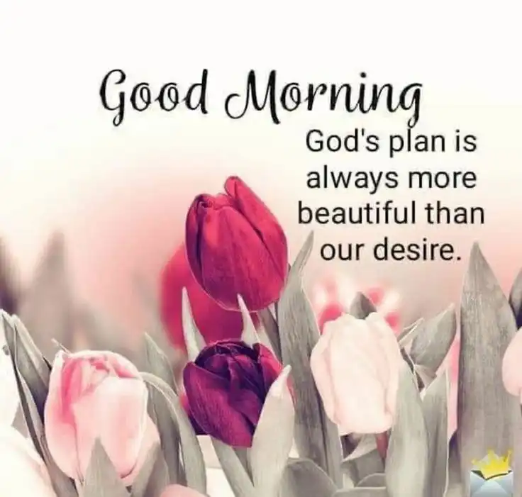 whatsapp good morning